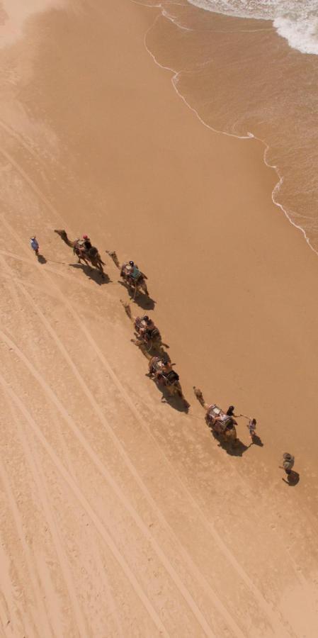 Ozzie Pozzie Backpackers Vandrarhem Port Macquarie Exteriör bild