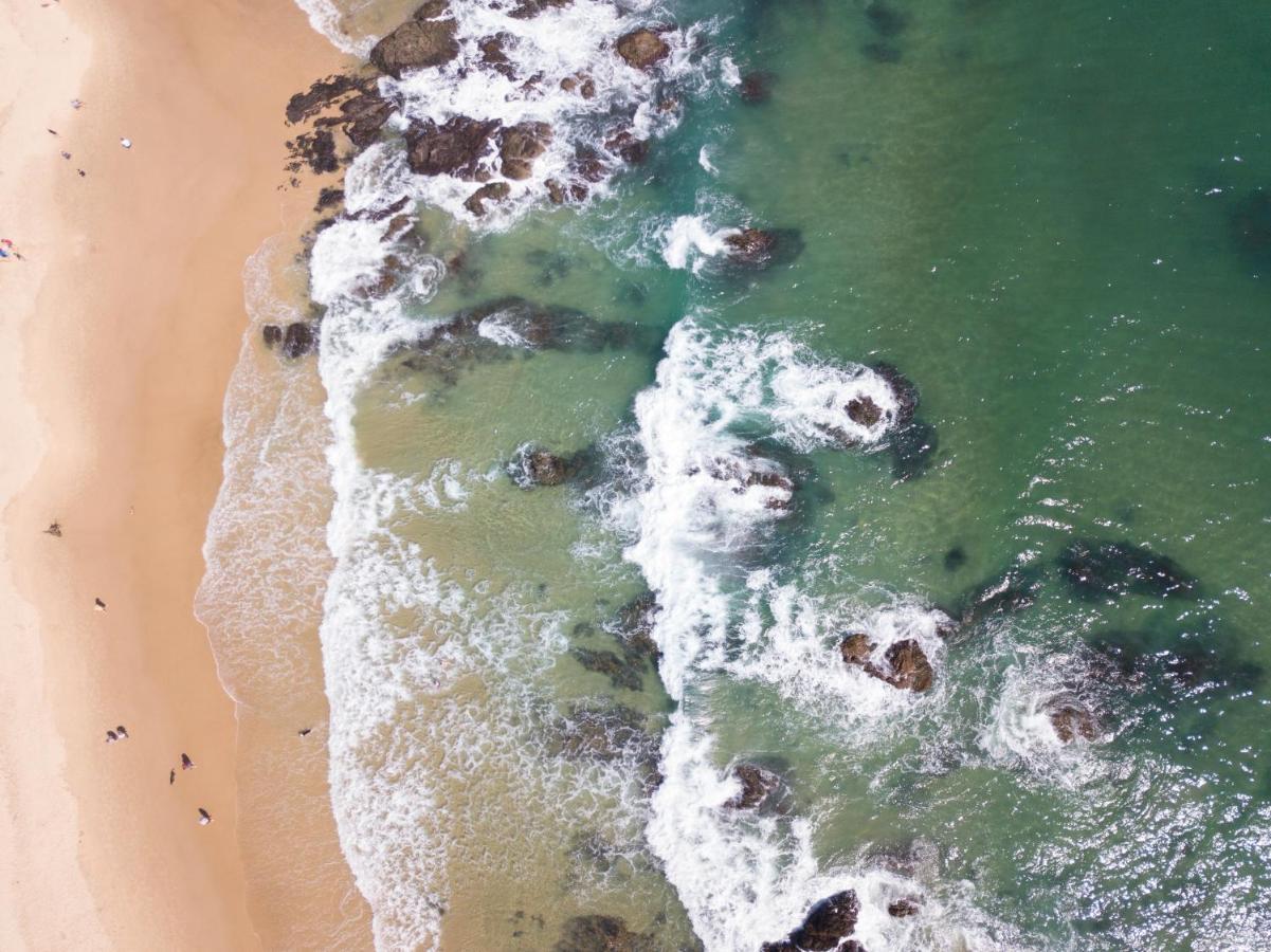 Ozzie Pozzie Backpackers Vandrarhem Port Macquarie Exteriör bild